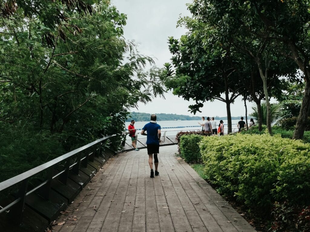 便秘怎麼辦 https://unsplash.com/photos/people-walking-on-wooden-pathway-during-daytime-kT0UDQjRKfs?utm_content=creditCopyText&utm_medium=referral&utm_source=unsplash
