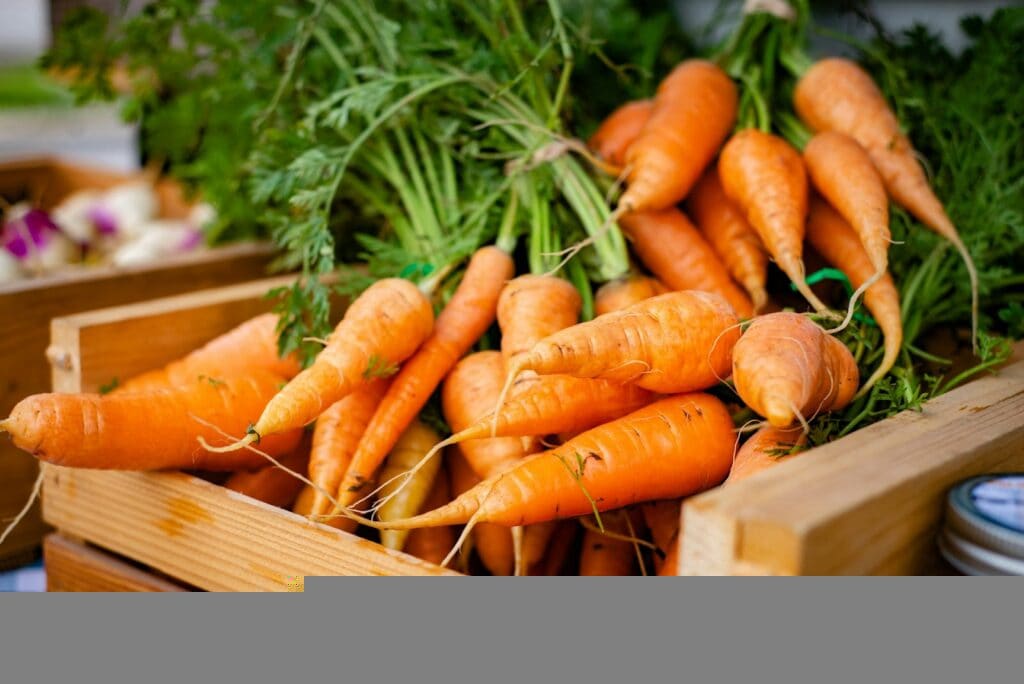 不好消化的食物 https://unsplash.com/photos/orange-carrots-on-brown-wooden-crate-uidpH617Fb8?utm_content=creditCopyText&utm_medium=referral&utm_source=unsplash