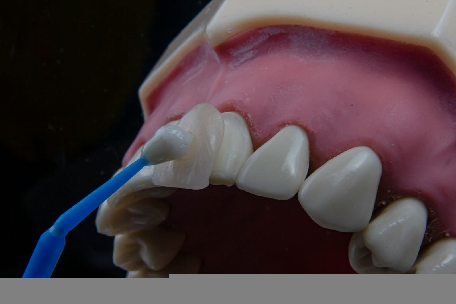 Photo by Ozkan Guner on Unsplash