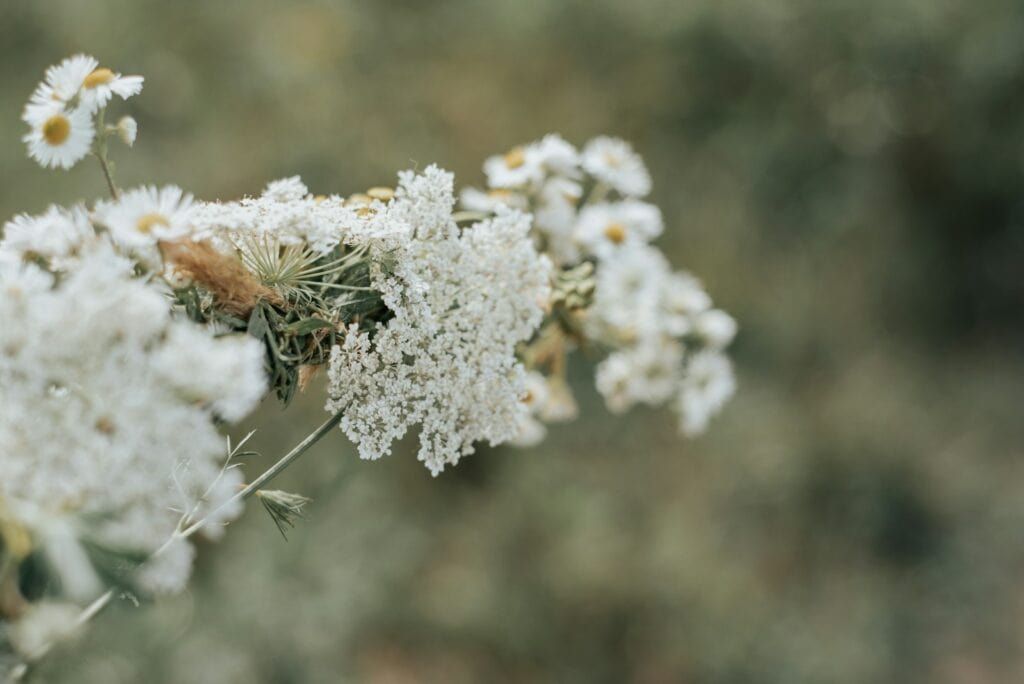 換季過敏通常發生在一年中的特定時節，症狀因人而異  / Photo by Maria Ziółkowska on Unsplash