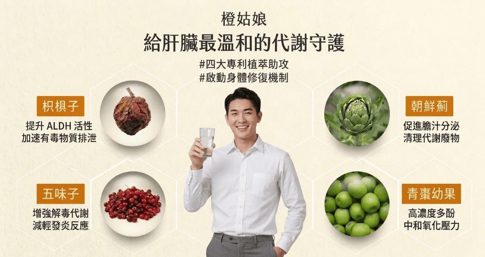 應酬後不適與代謝反應的關聯：植萃成分與日常保養觀點解析