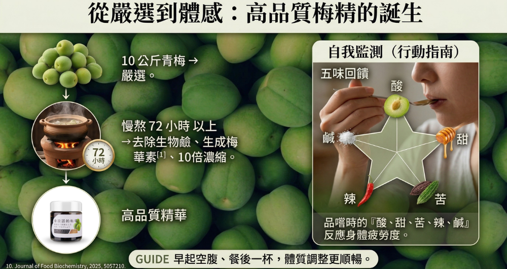 餐後不適怎麼改善？營養觀點解析有機酸與消化運作