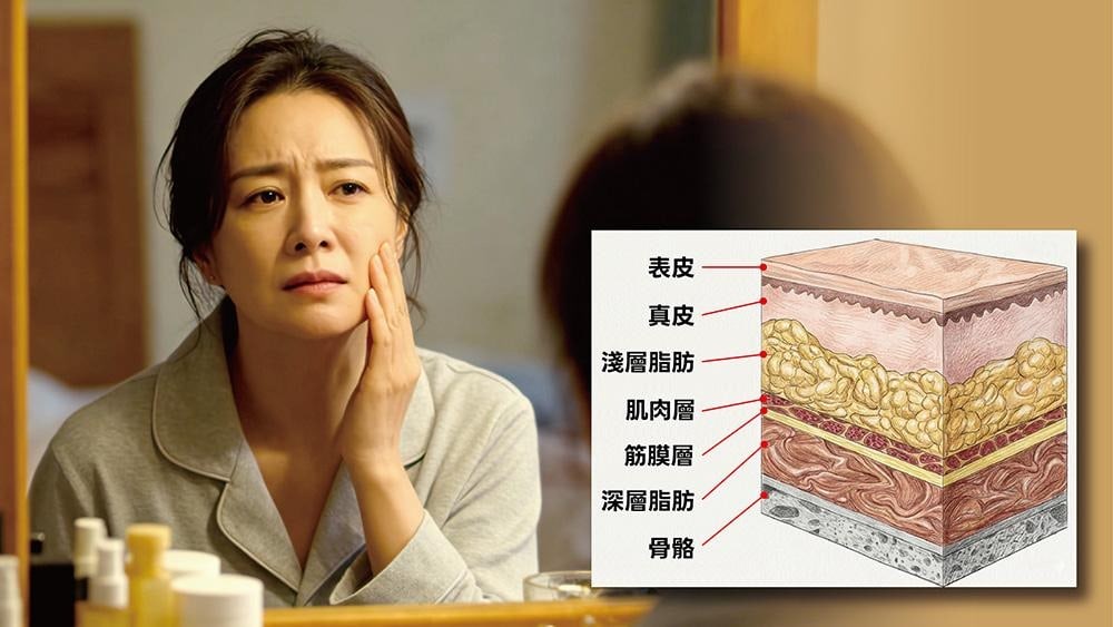 體重變化後外觀改變？醫師帶你認識臉部脂肪分布與輪廓變化