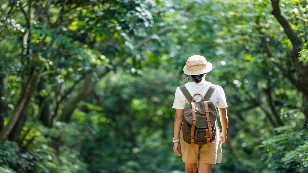 夏季生活步調加快：適度旅行與休息有助調整身心狀態
